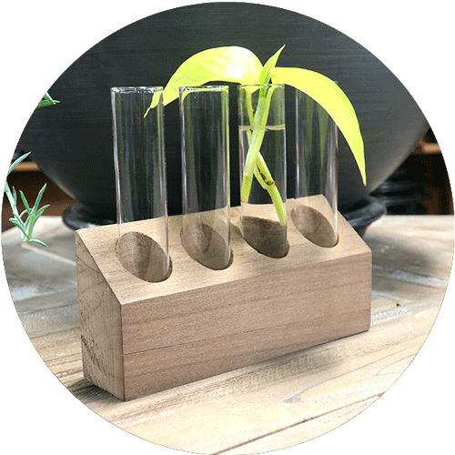 A propagation station with a wooden base and four glass test tubes.